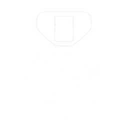 Windchaser: Bronze trophy art on PlayStation 5
